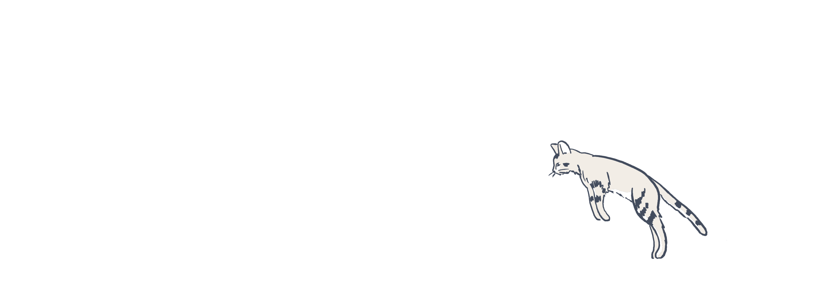 Cat illustration animated