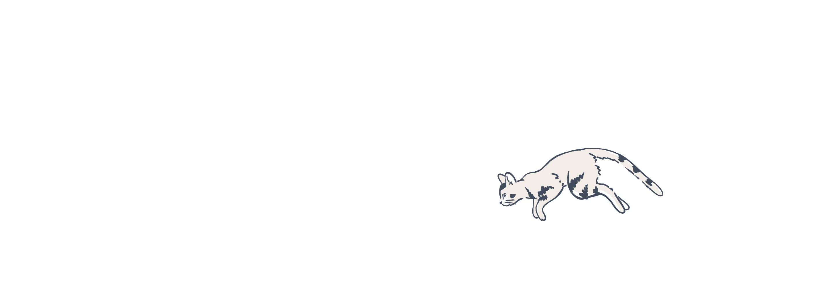 Cat illustration animated