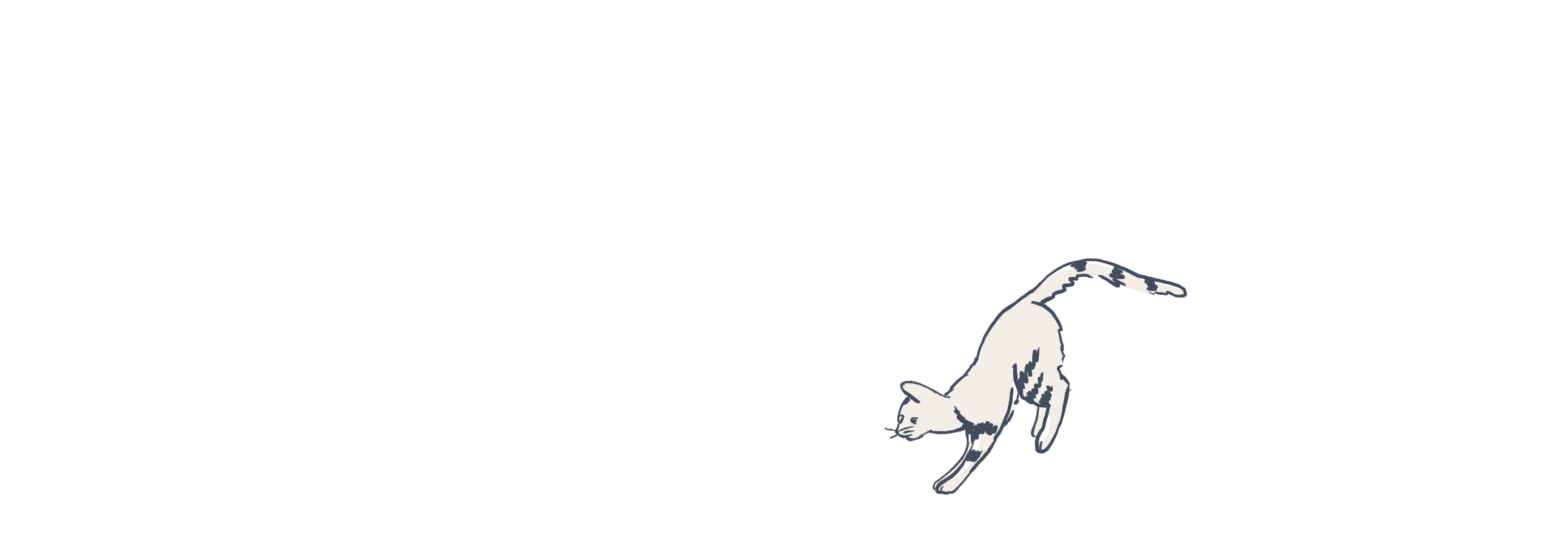 Cat illustration animated