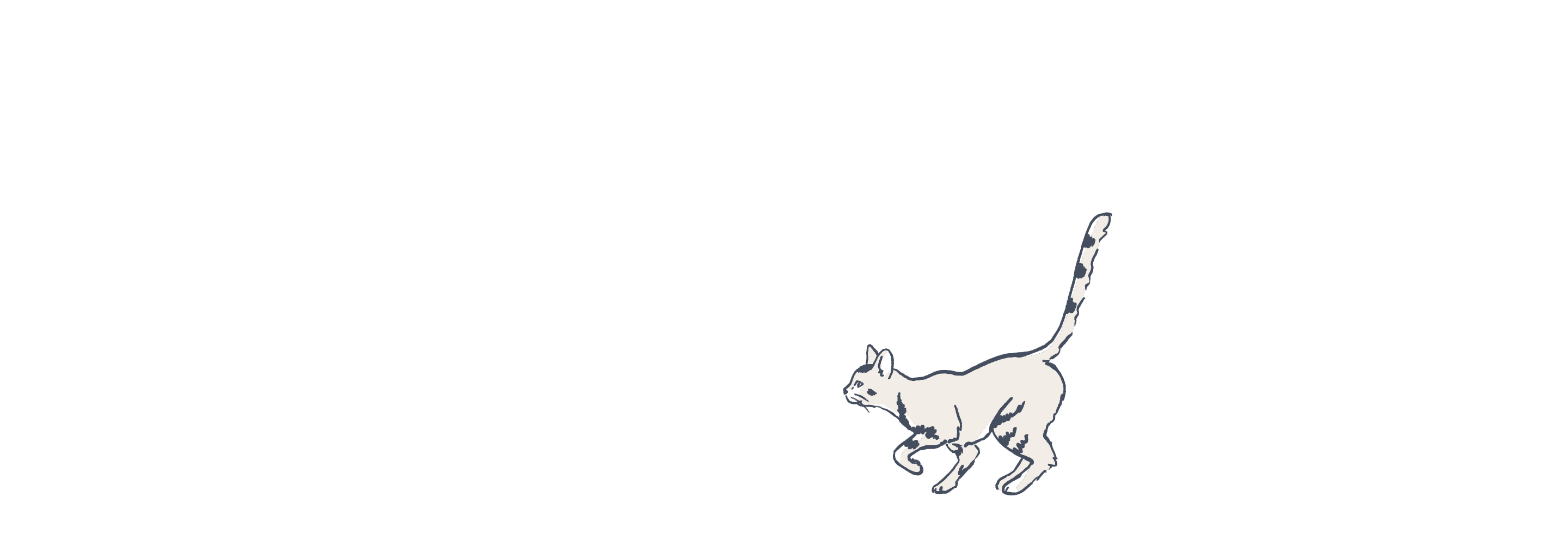 Cat illustration animated