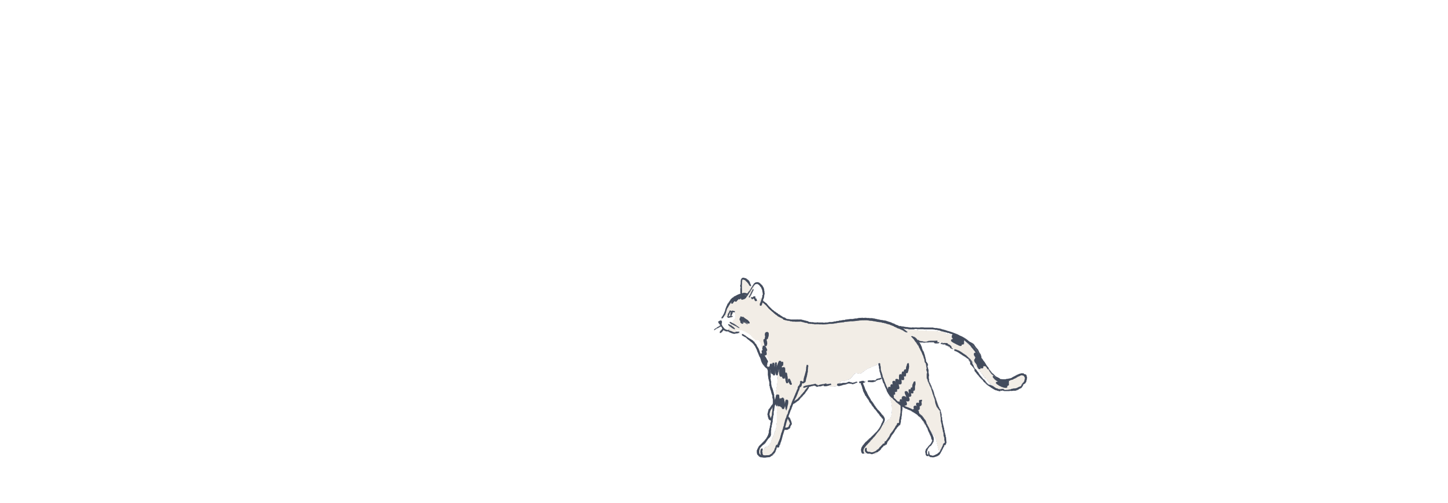 Cat illustration animated