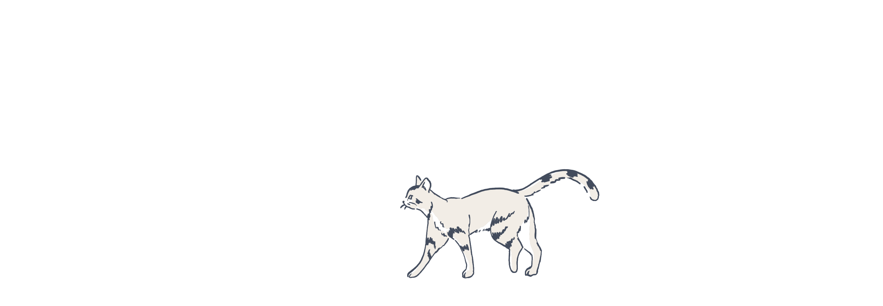 Cat illustration animated