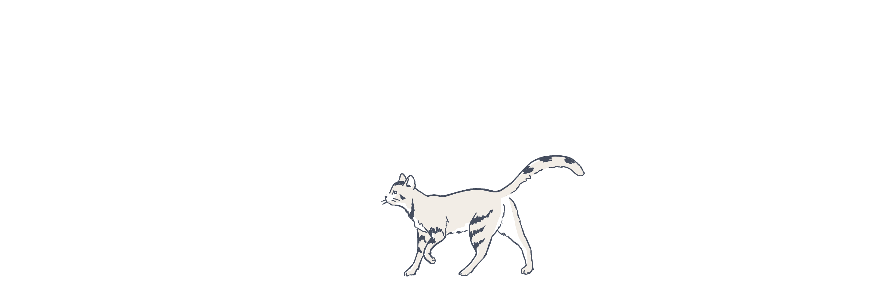 Cat illustration animated