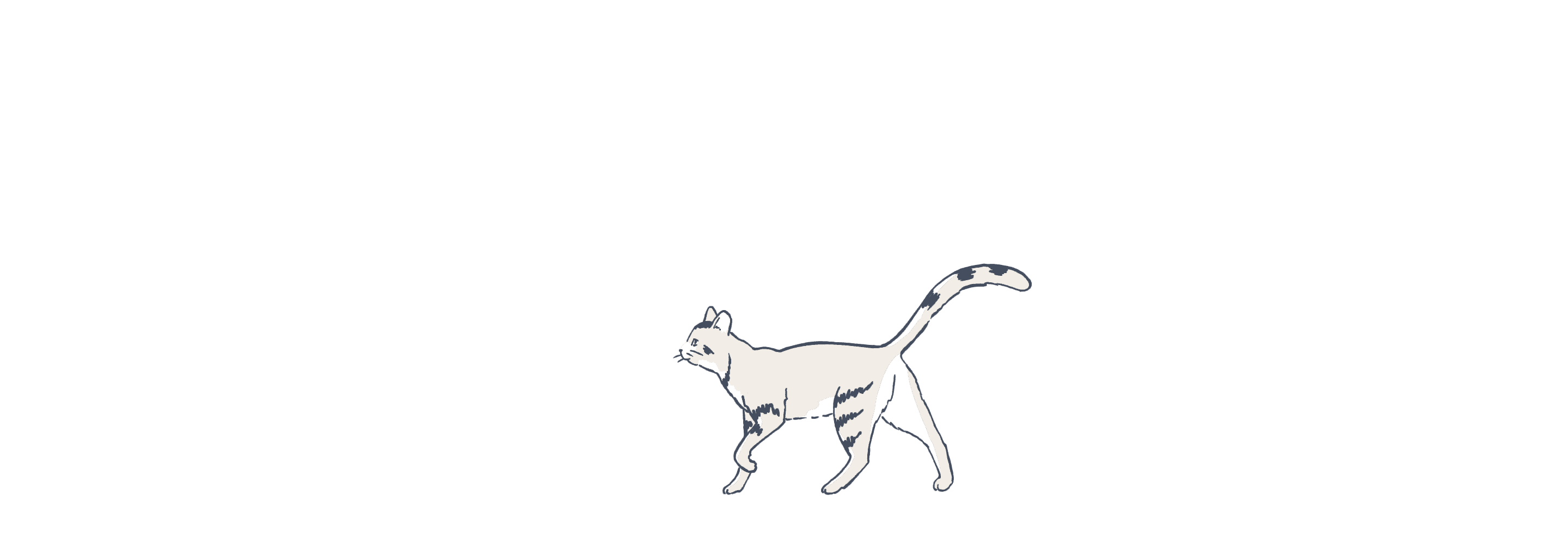 Cat illustration animated