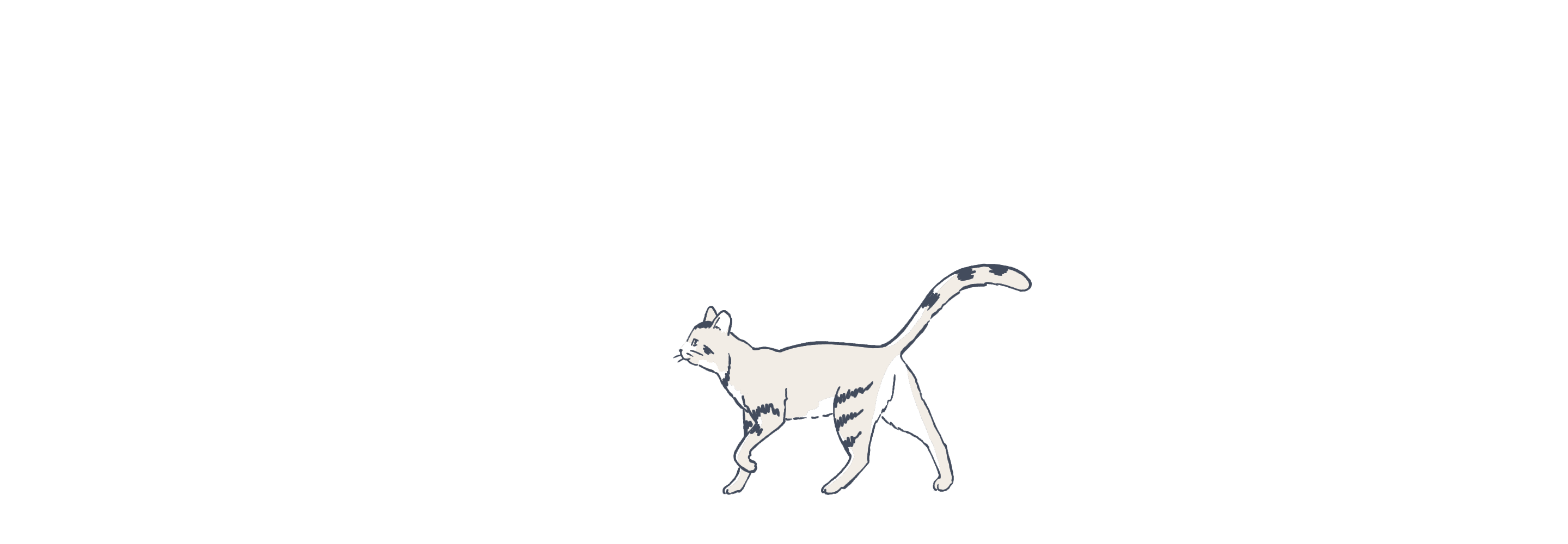 Cat illustration animated