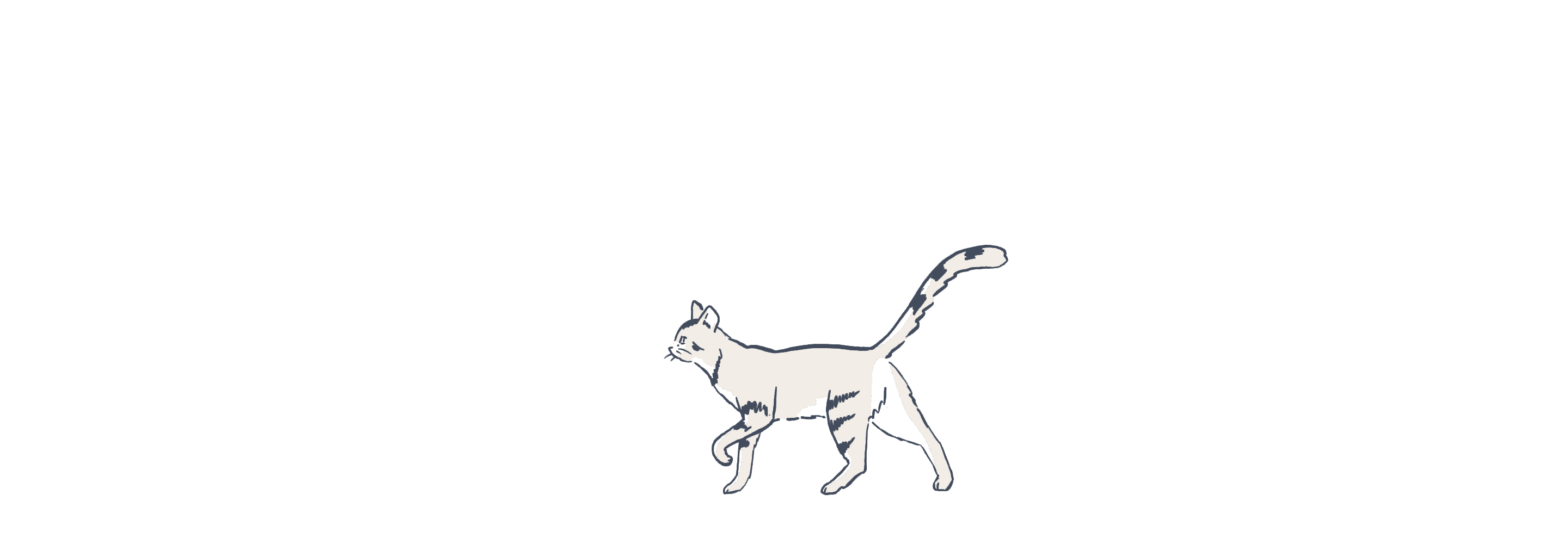 Cat illustration animated
