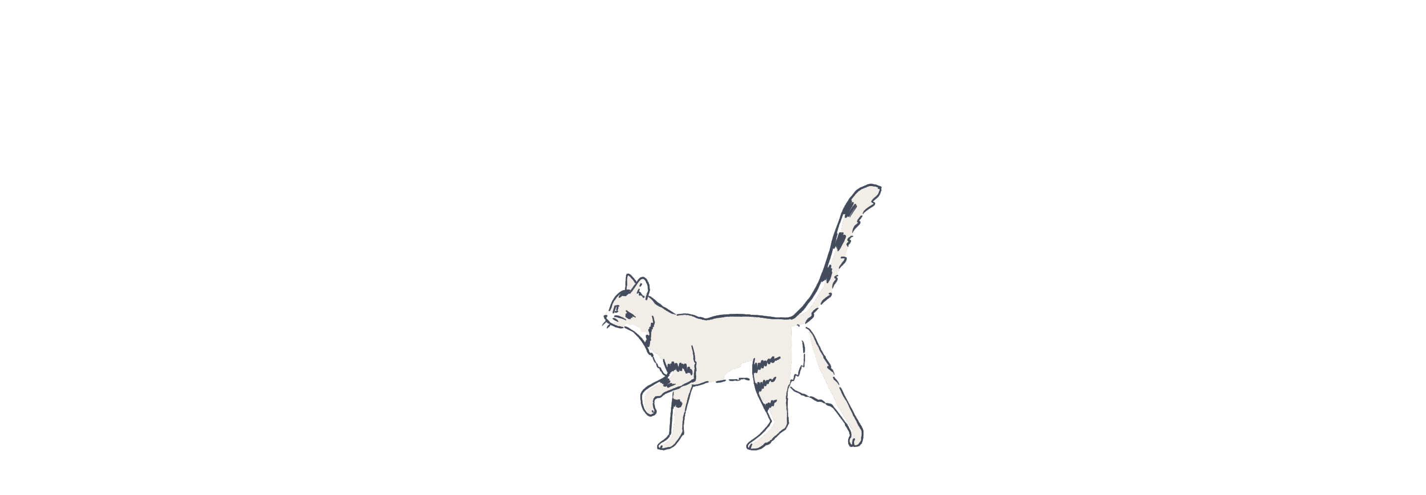 Cat illustration animated