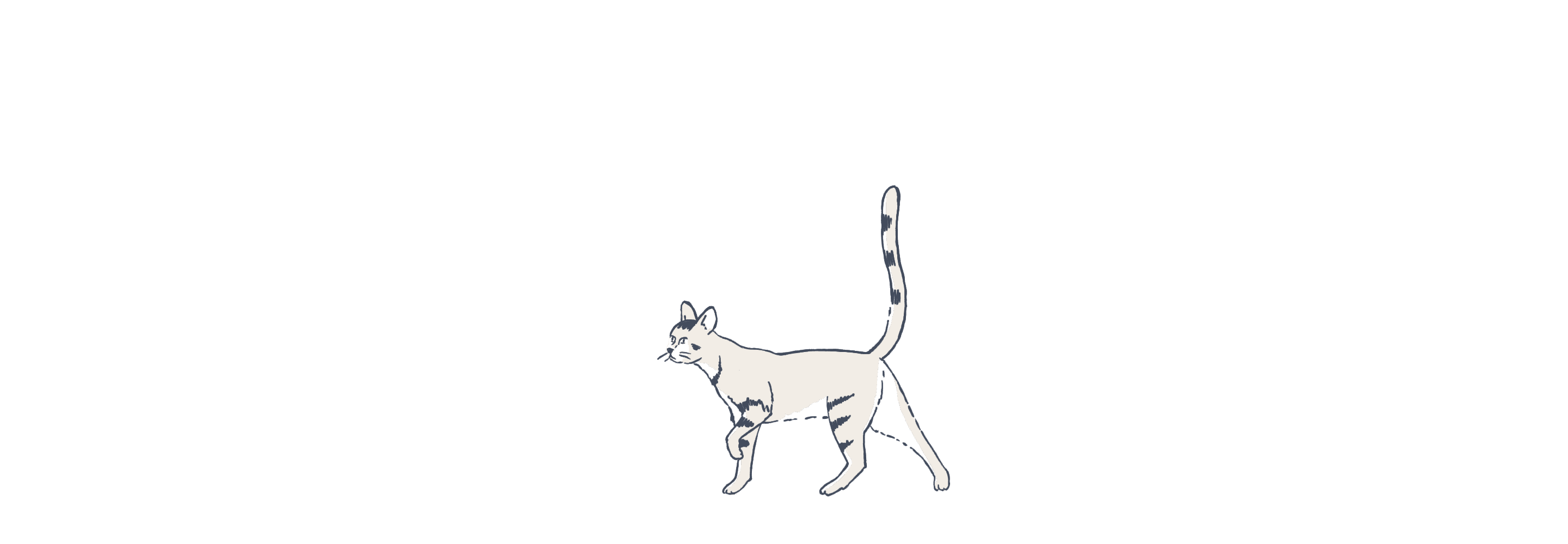 Cat illustration animated
