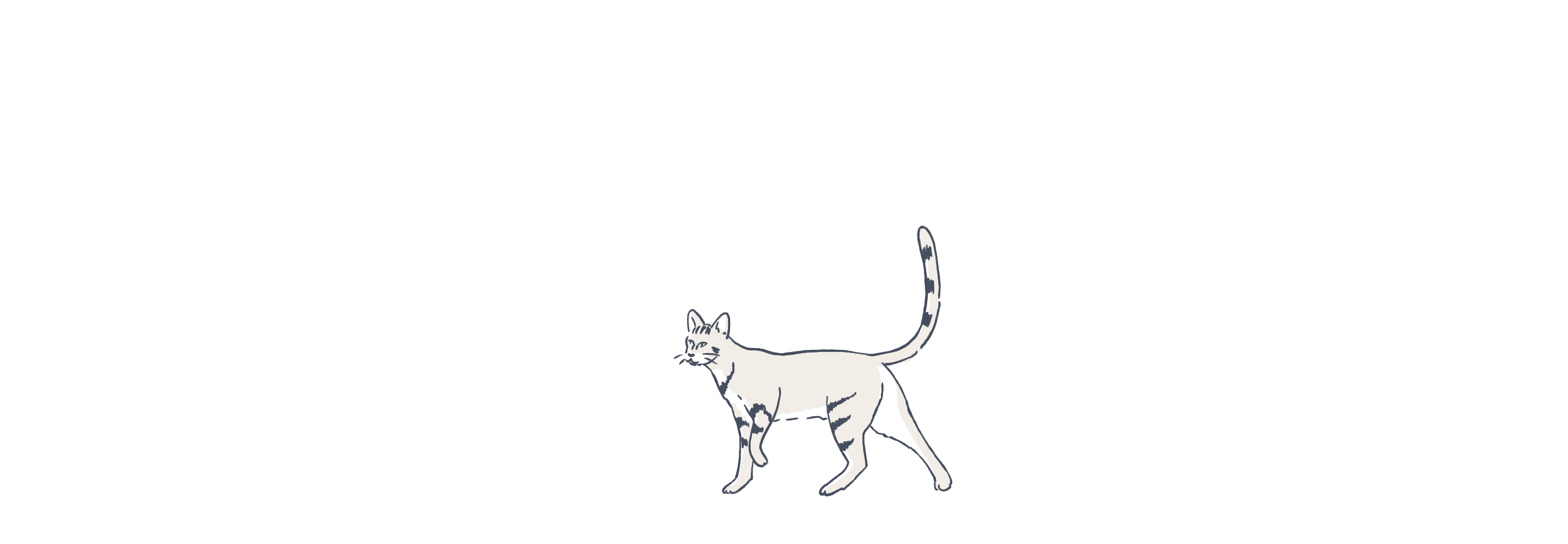 Cat illustration animated