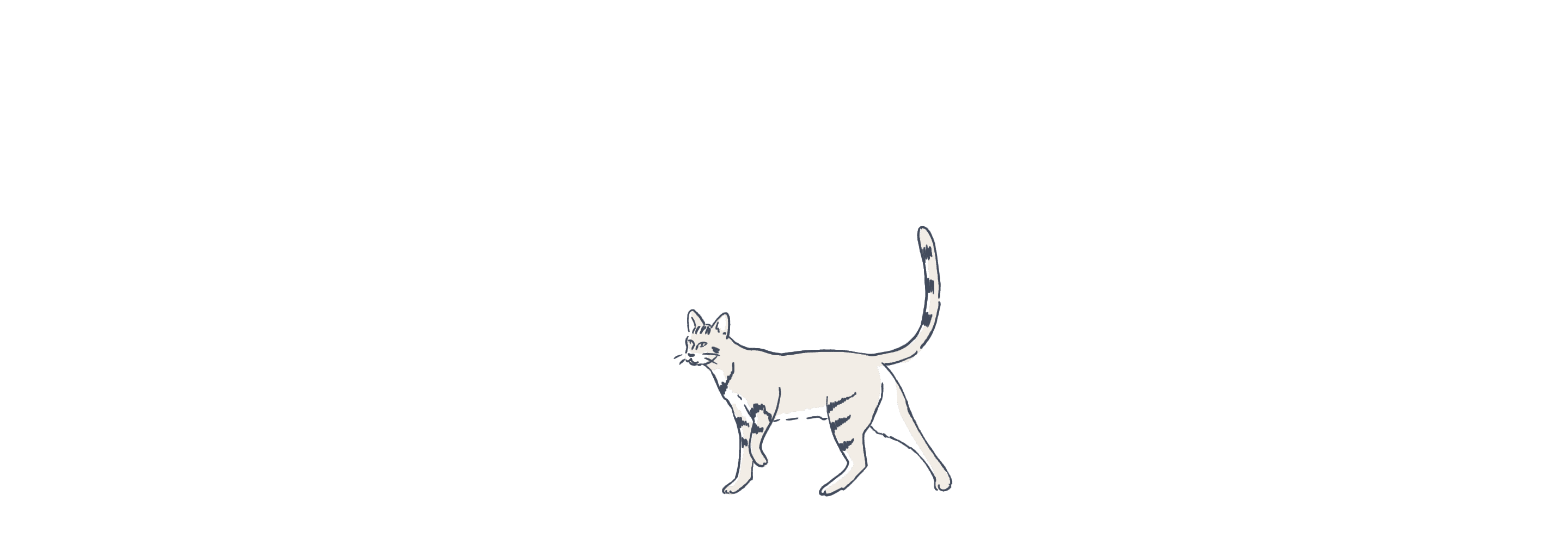 Cat illustration animated
