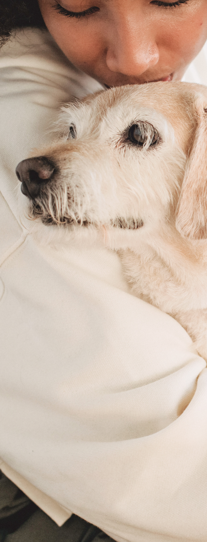 People playing with animals