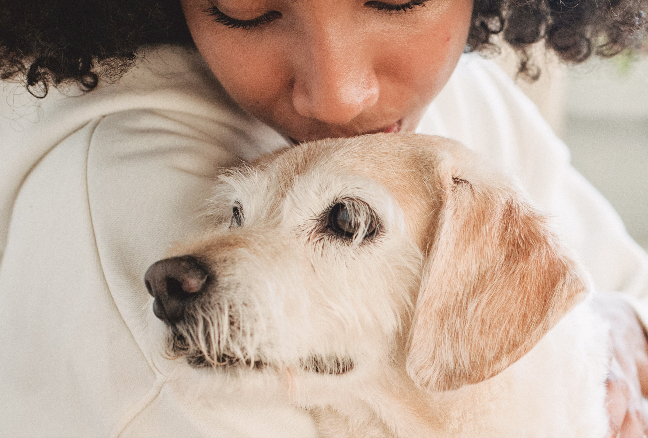 People playing with animals